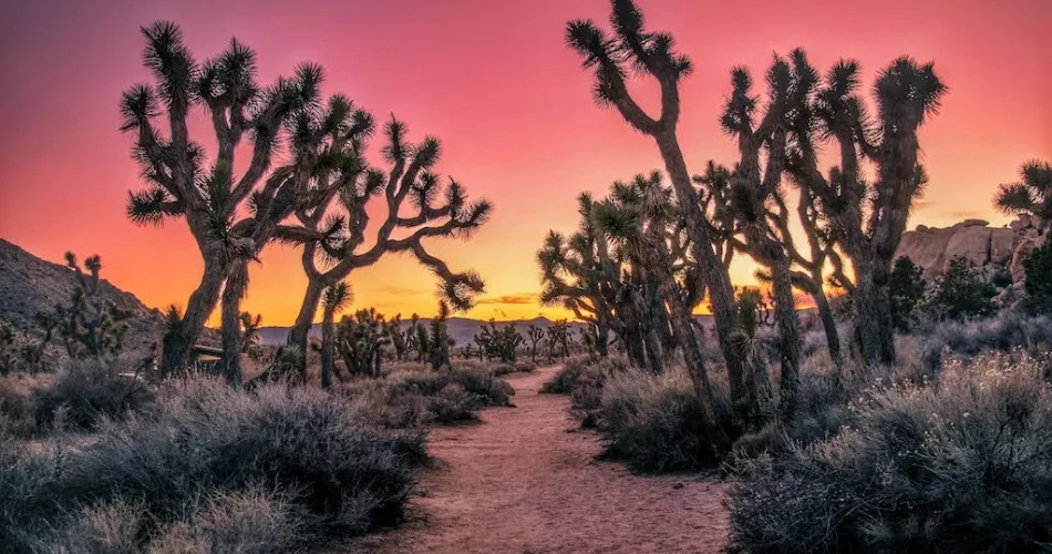 9 Best Day Trips from Los Angeles