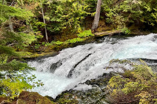 Tour image 5